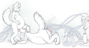 more? (multi-enema inflation)