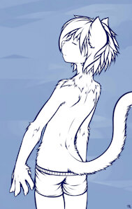 breeze
