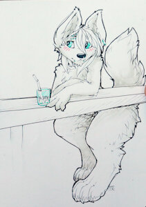 at the bar
