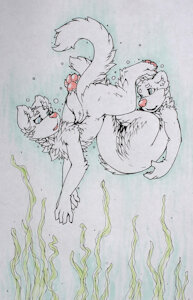 swimming with an otter