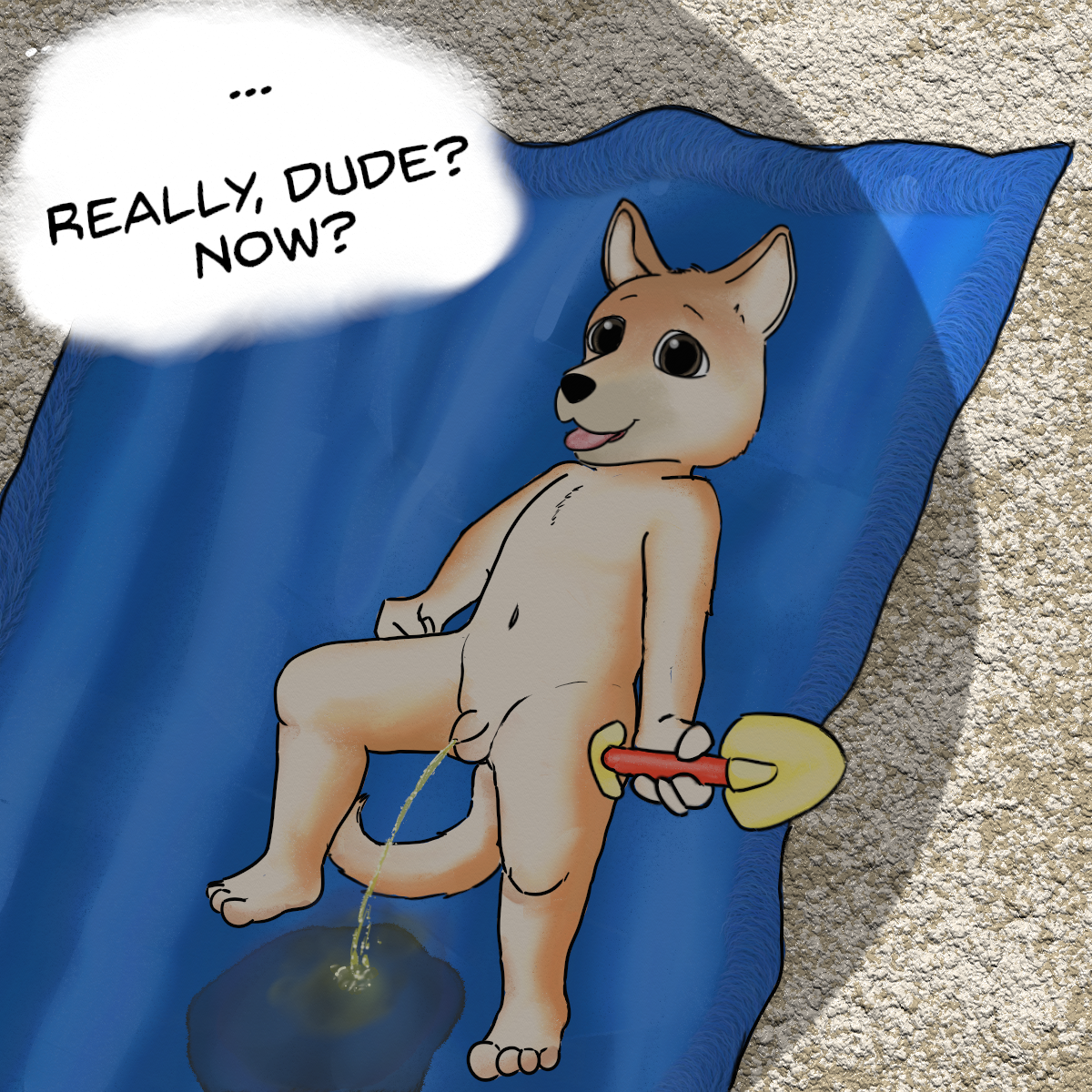 3810646_tapstnt_oct_21_beach_pee.png