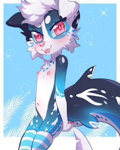 SR:littlesharkie