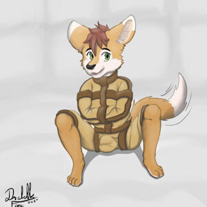 [YCH] hdofu