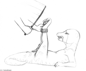 Lizard Boy (Discipline)
