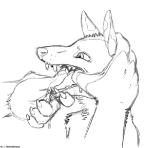 Possum Mawplay