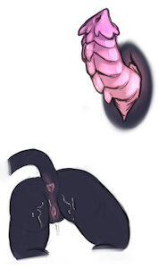 3822509_nononge_valiant_-_3.jpg