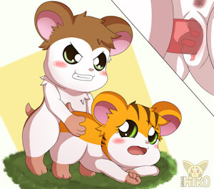 Maxwell and Sandy