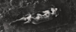 3838038_tchaikovsky2_all_meetings_canceled_old_photo.png