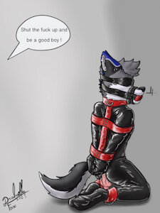3839499_Drakethefox_photo_2021-12-12_16-54-51.jpg