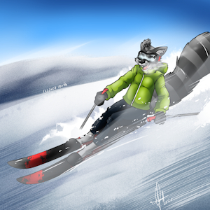 ski raccoon