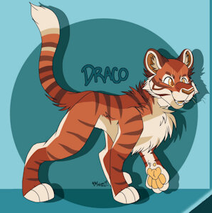 Draco