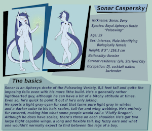Sonar Caspersky Reference Sheet