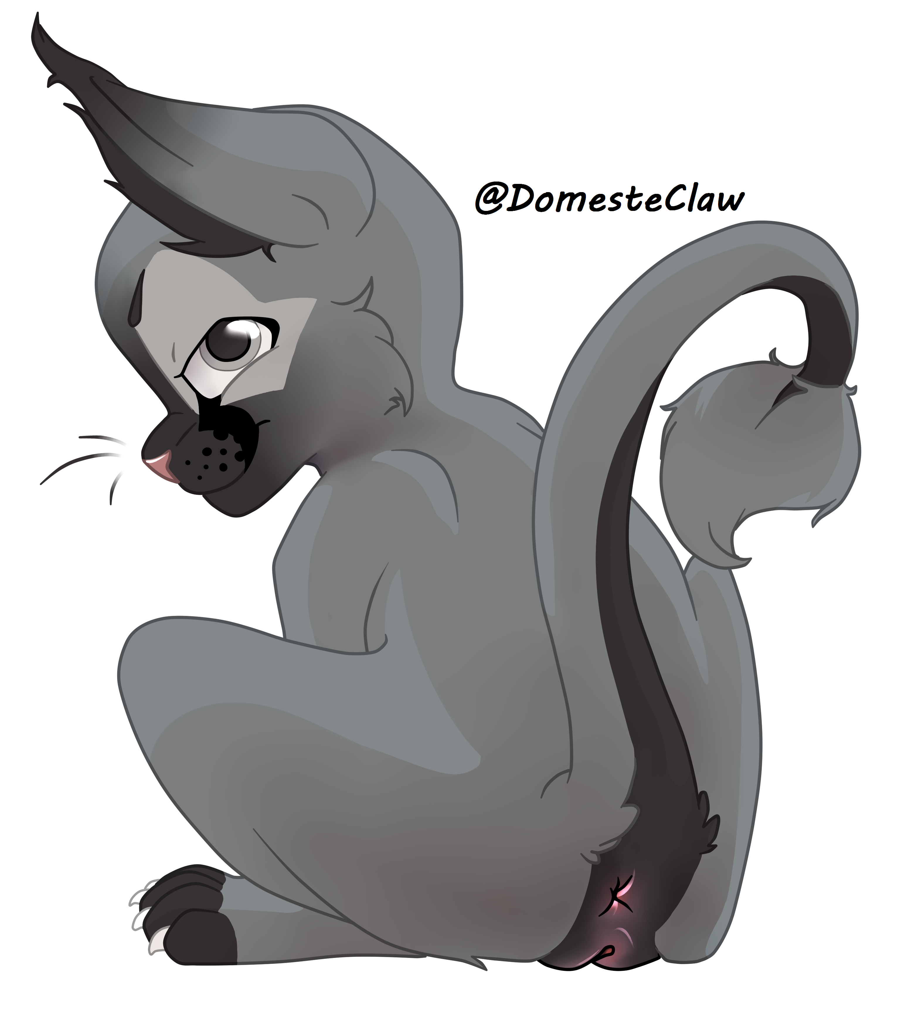 3864475_domesteclaw_pompom-sitingalt.png