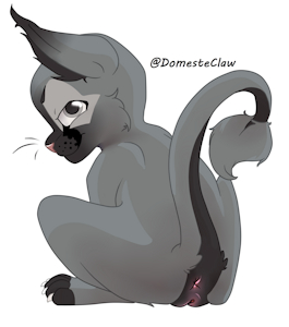 3864475_domesteclaw_pompom-sitingalt.png