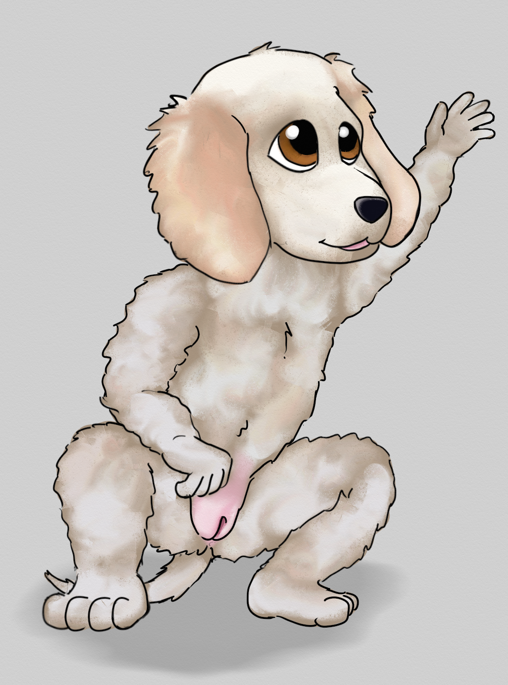 3867885_tapstnt_afghan_hound_jan_22.png