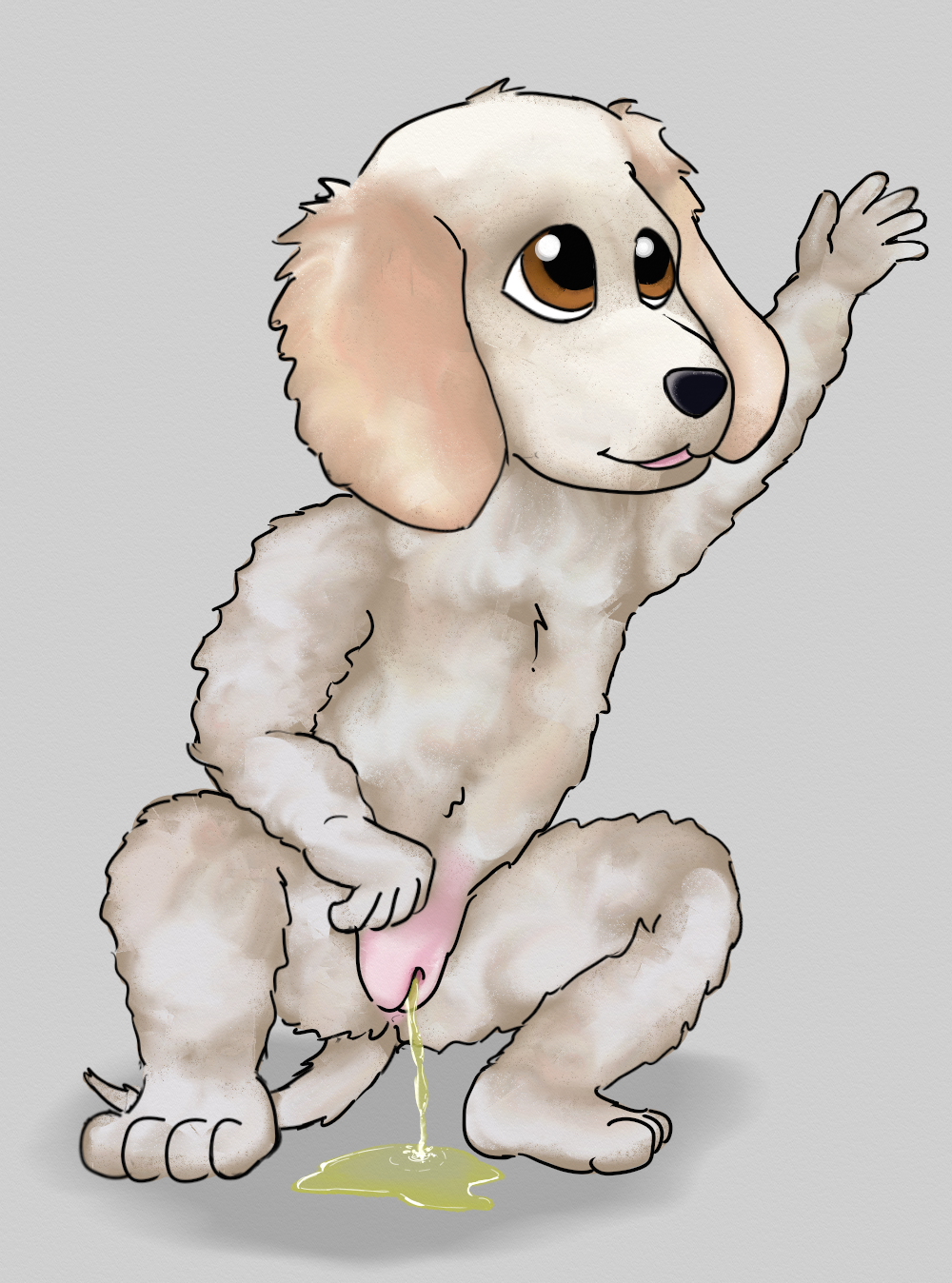 3867886_tapstnt_afghan_hound_jan_22_pee.png