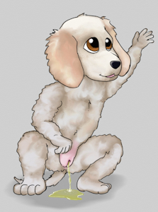 3867886_tapstnt_afghan_hound_jan_22_pee.png