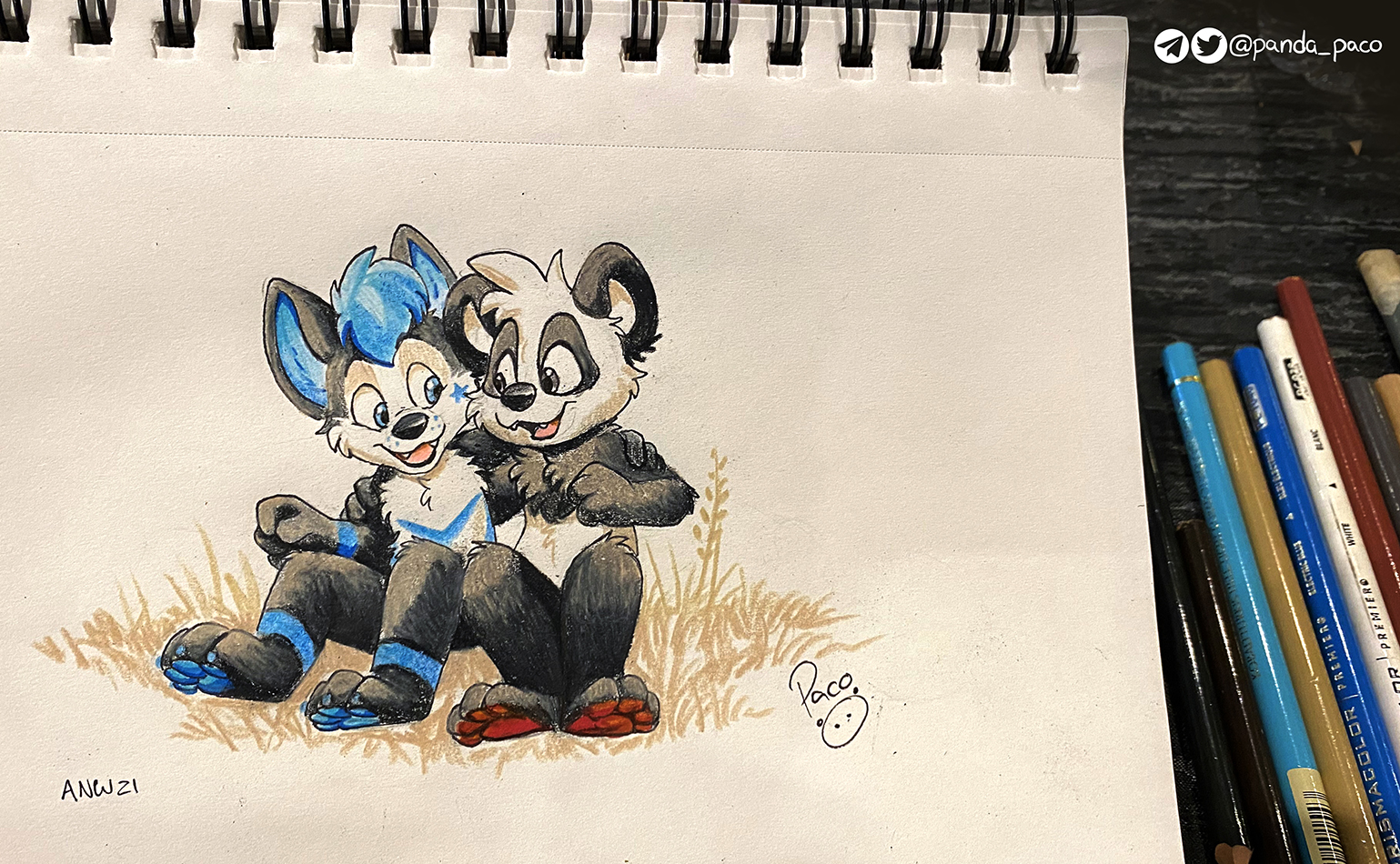 3868089_pandapaco_970suka2.jpg