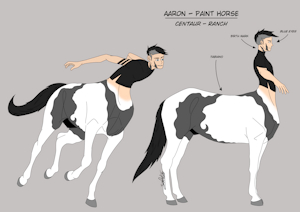 [Sheet] - Aaron