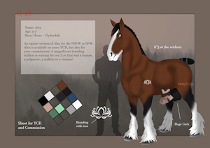 [Sheet NSFW] - Alex Feral Horse (Stallion)