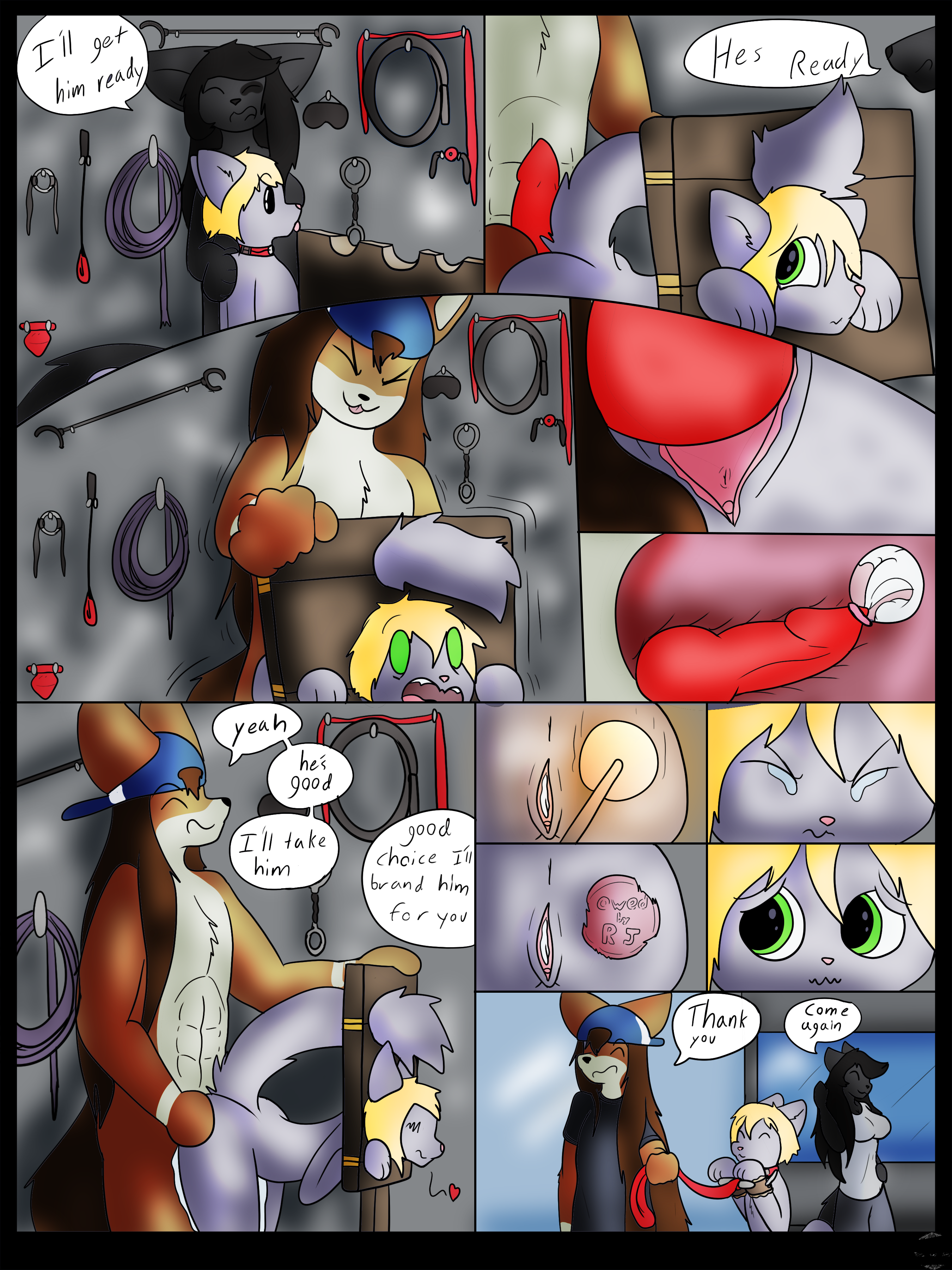 3870963_Neversoft_mini_pet_shop_2_teckit_.png
