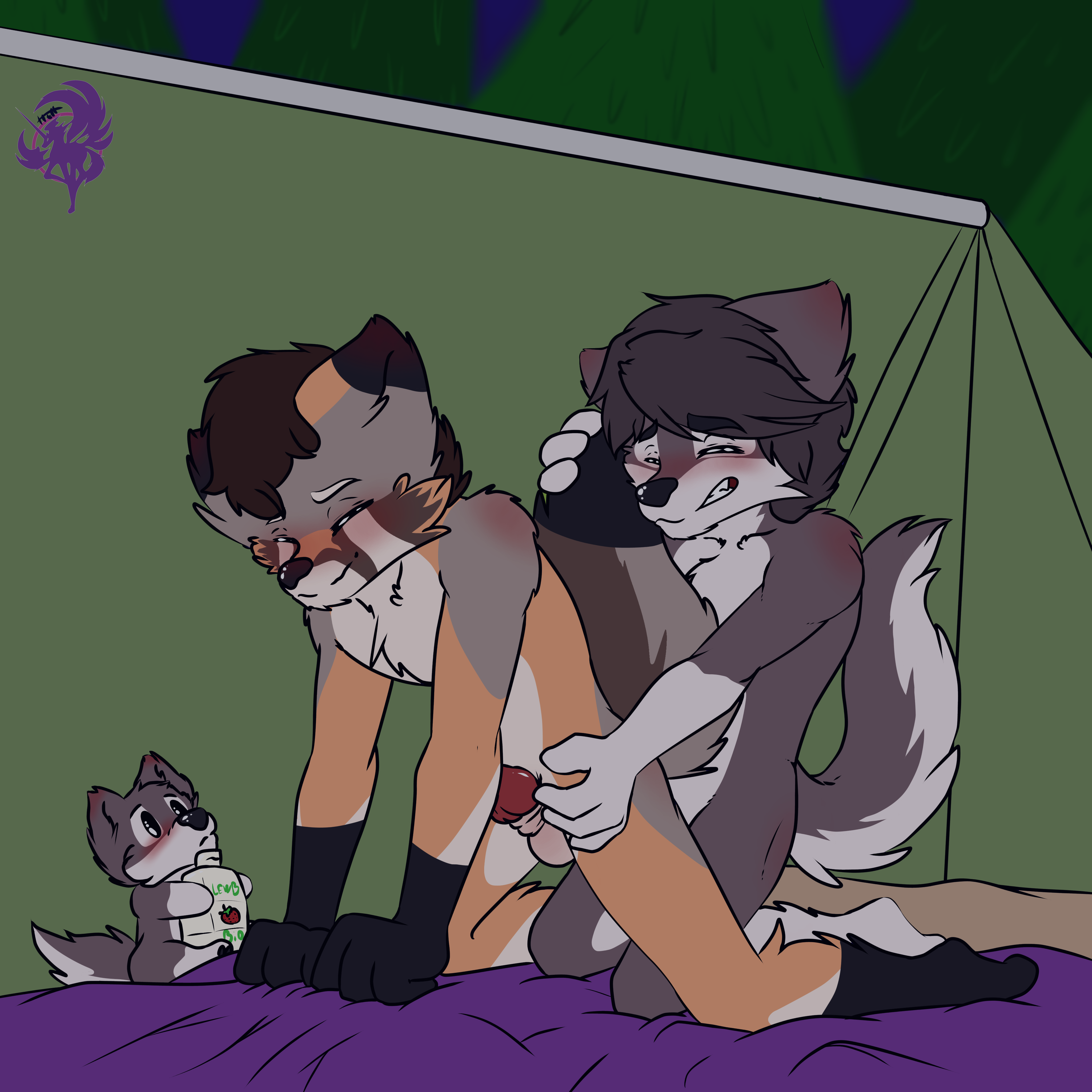 3872835_Balto_sans_titre_141_20220108144352.png