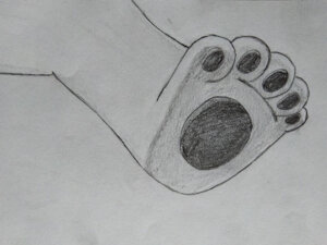 Happy's Footpaw - Fairy Tail