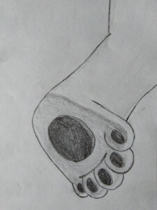 3876462_Chazchu_happy_fairy_tail_footpaw_close_hanging.jpg