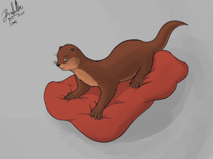 Otter