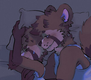 Night Visits