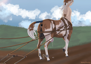 [Commission] - Centaur in a field