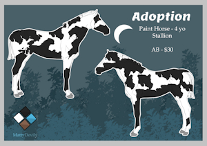 [Adoption] - Paint Horse - OPEN