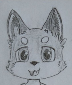 Skidoo Tribute - Fox Cub