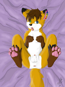 lay on the bed