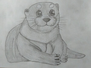 Facing Otter