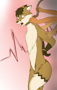 Fox being prepared