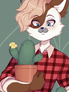 Kitten