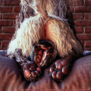 3900314_tchaikovsky2_cookie_and_beans_02.png