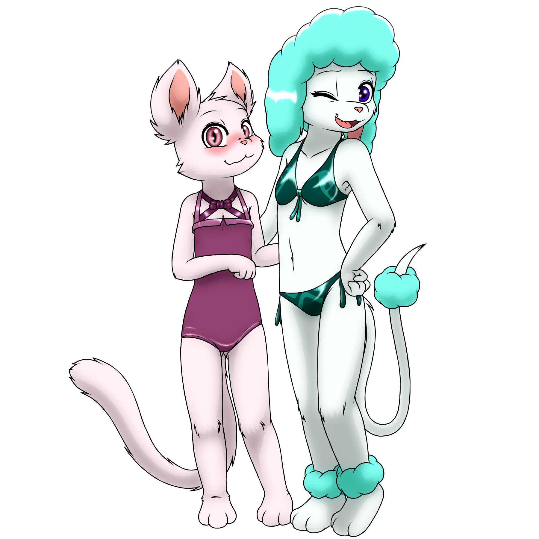 3907769_YacteruC1_export1644174129009.png