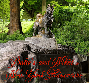 22. Balto's and Nikki's New York Adventure Chapter 1