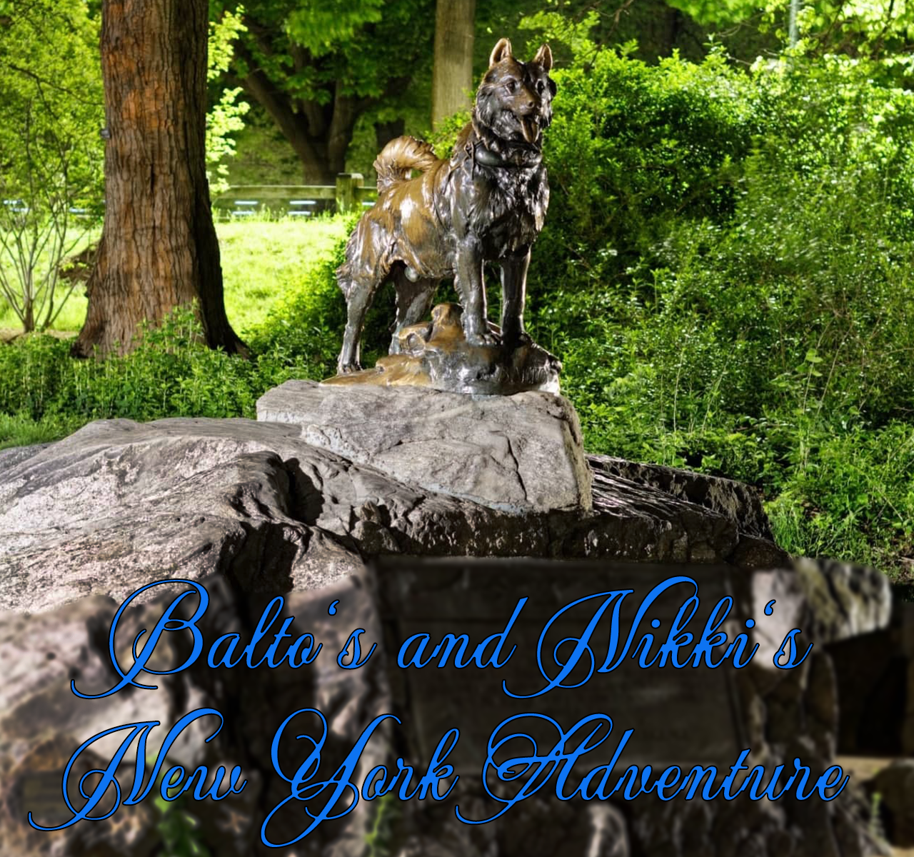 3908095_Balto_balto_bild_v9.png