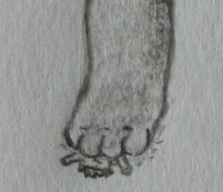 3908550_Chazchu_02_-_happy_trampling_human.jpg