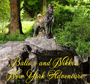 22. Balto's and Nikki's New York Adventure Chapter 3