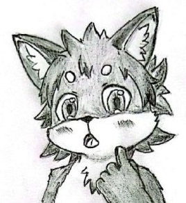 3910821_Chazchu_cub_fox_boy_6yr_scanfilterred.jpg