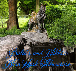 22. Balto's and Nikki's New York Adventure Chapter 5