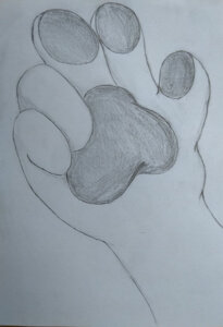 Handpaws