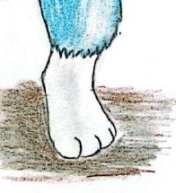3925399_Chazchu_oc_blue_cat_cub_-_running_filter.jpg