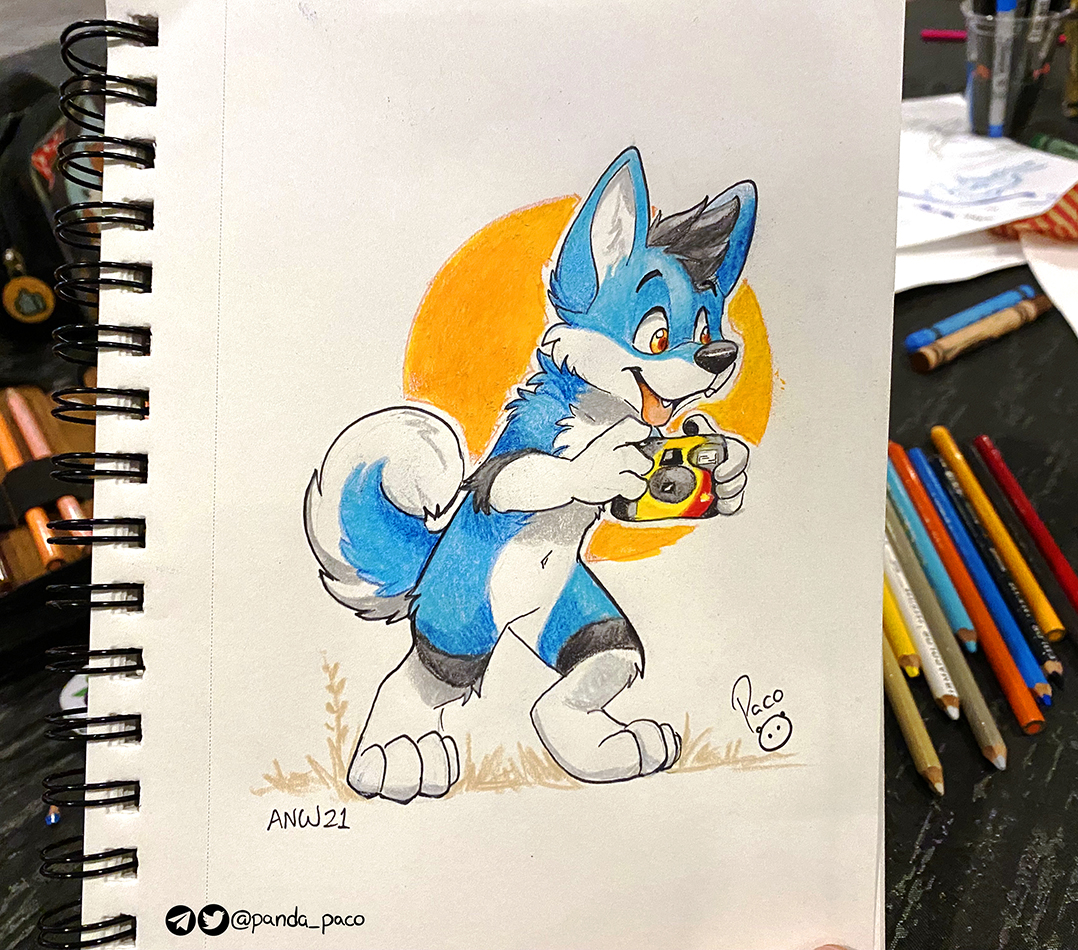 3925860_pandapaco_973doktorthehusky2.jpg