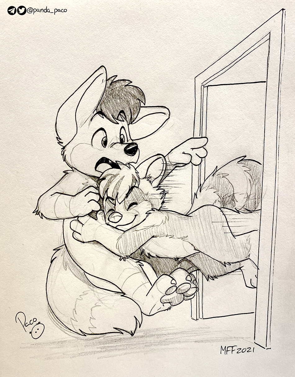 3925871_pandapaco_983starraccoon_hundthehound.jpg