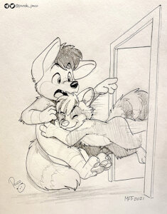 3925871_pandapaco_983starraccoon_hundthehound.jpg